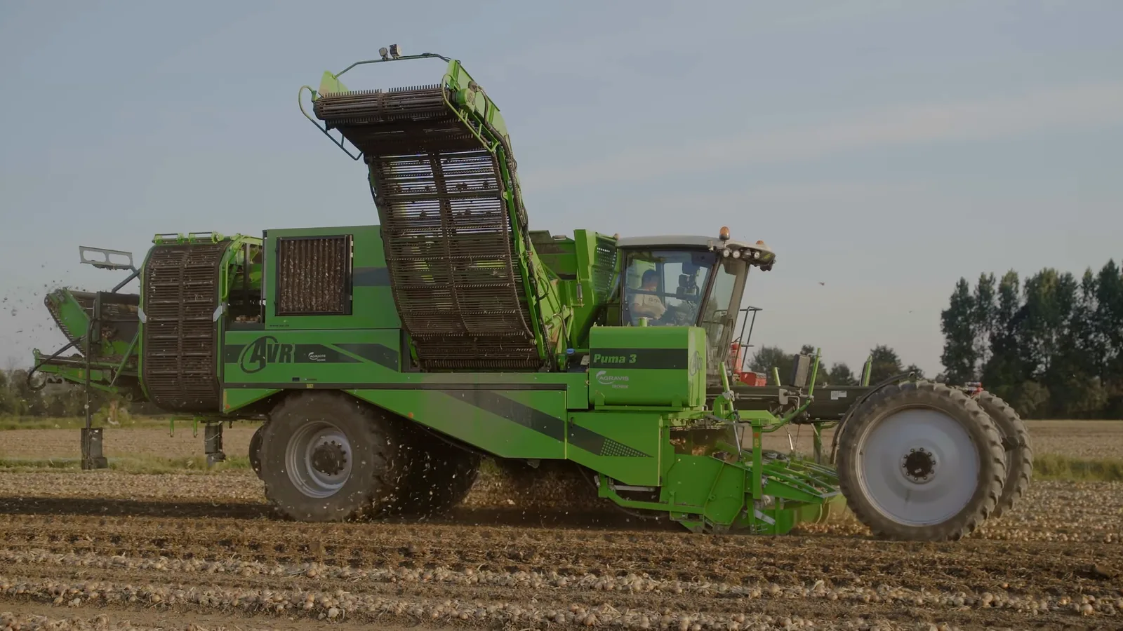 AVR Puma 3 harvester picking up onions from windrows