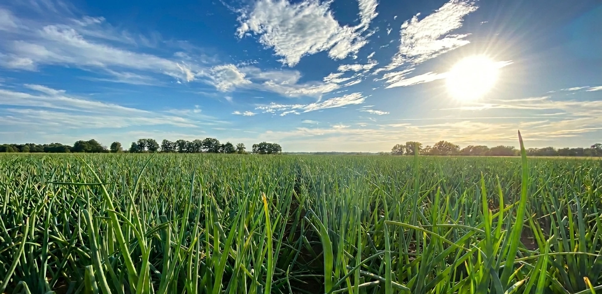 Landwirtschaftlicher Betrieb Agro-Malz