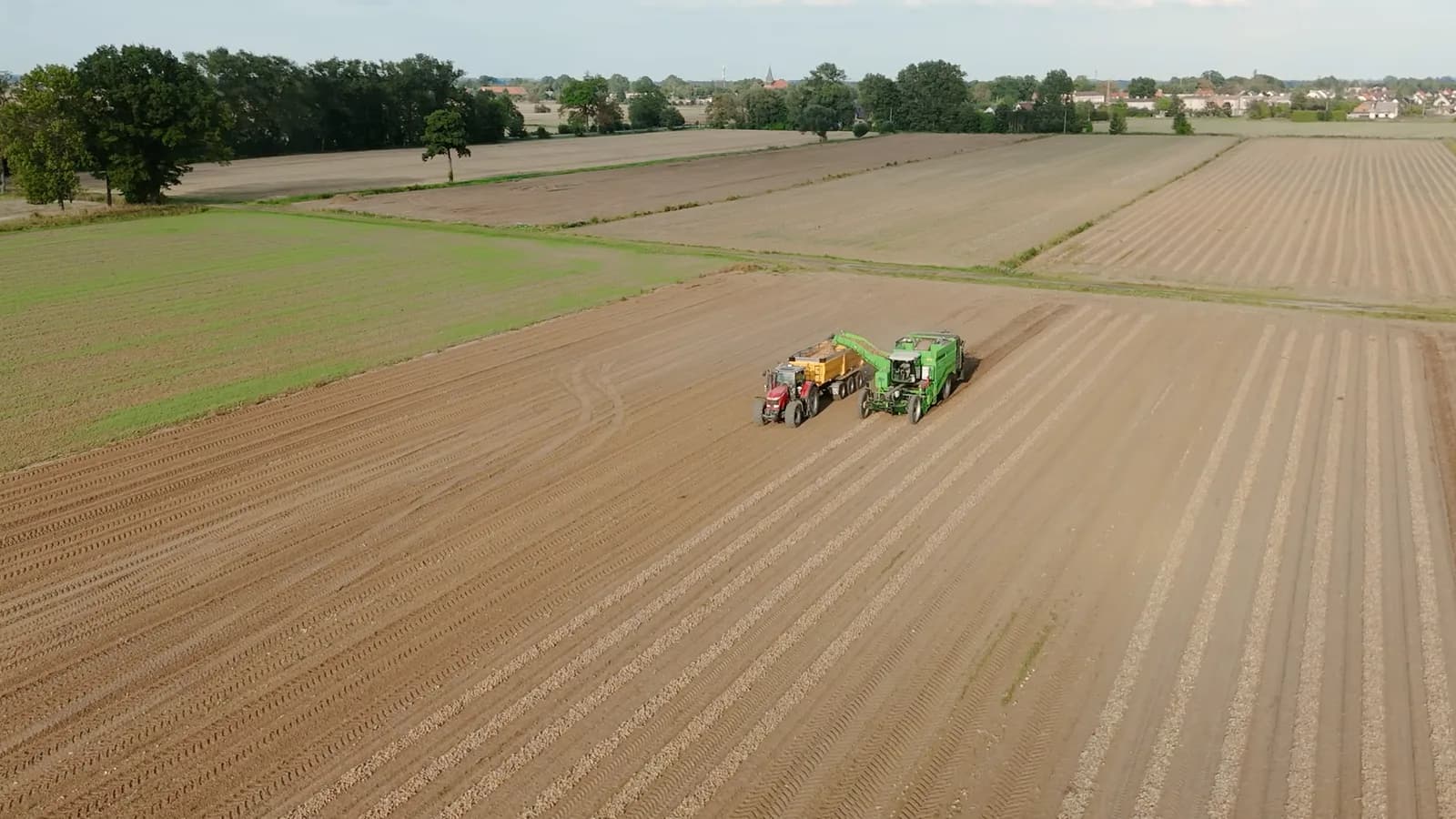 Gesundes Feld im Werder aus der Vogelperspektive im Betrieb Agro-Malz