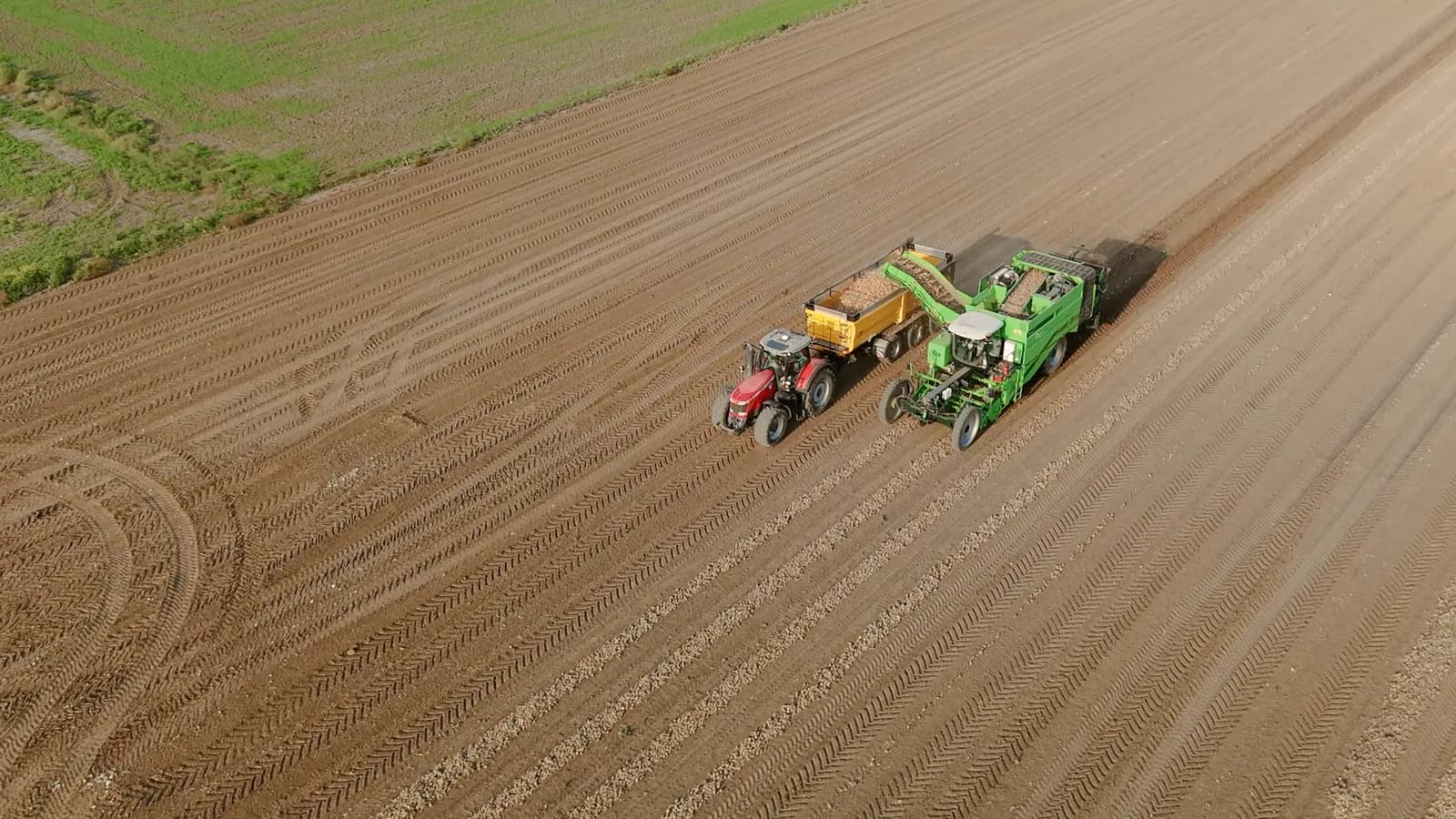 Luchtfoto van de aardappeloogst op een veld op de Zulawy