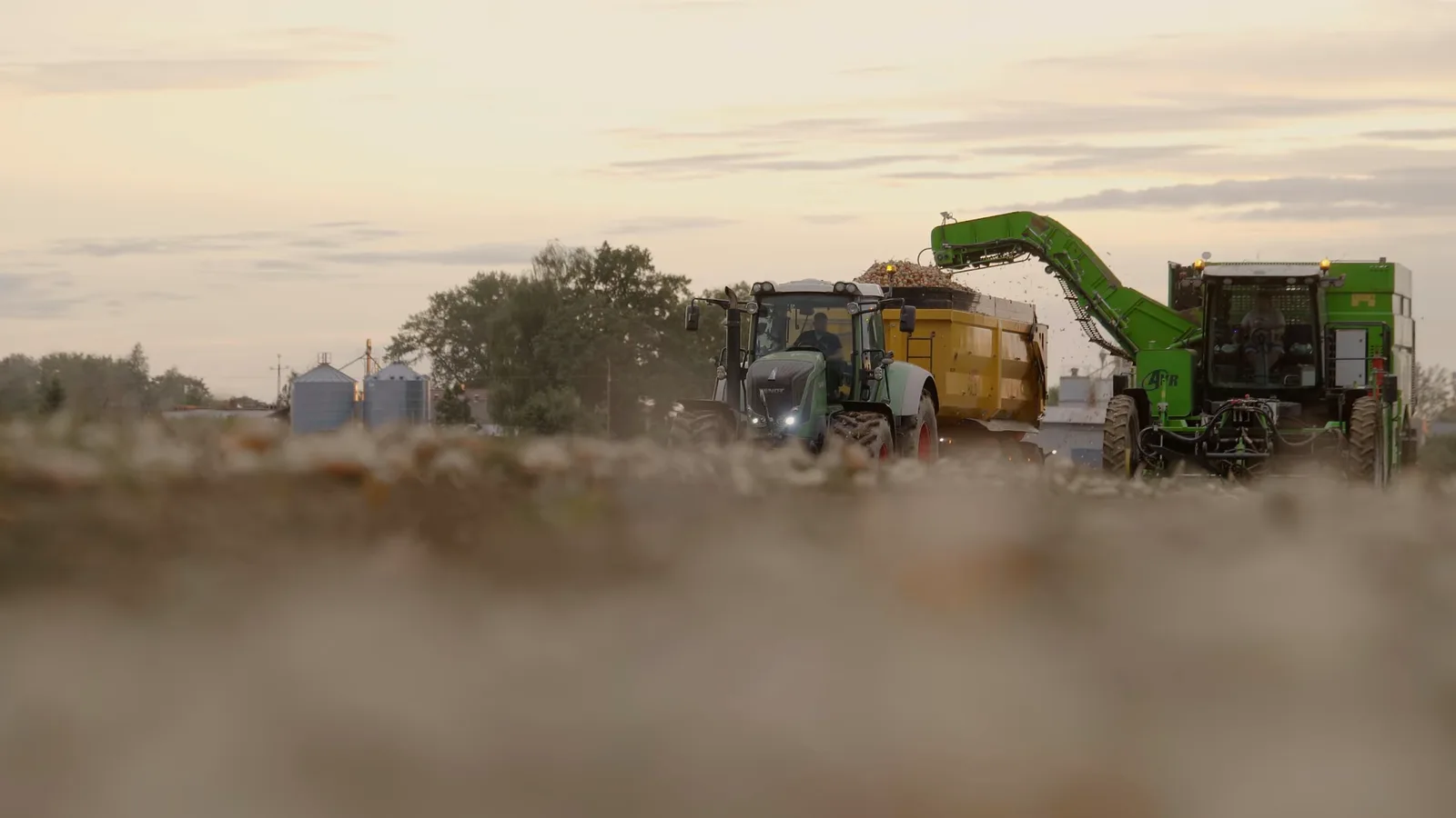 De rooier AVR Puma 3 lost de oogst in de schemering op een aanhanger, met de silo's van het bedrijf op de achtergrond